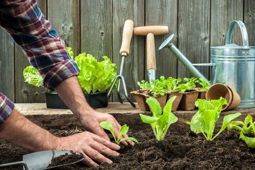 Inspection and supplier audit documentation for Harlesden gardening services